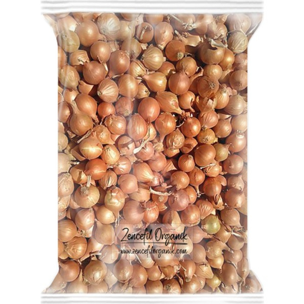 Kıska Soğan 1 kg. Arpacık Soğan Iska Soğan Tohumu - 1 kg Tohum Fiyatı