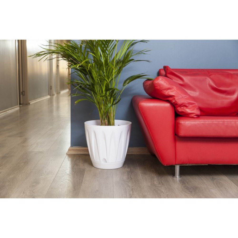 Kıtay Group Papatya Saksı Beyaz Renk 12 Lt 28 x 26 Saksı ve Aksesuarları Fiyatı