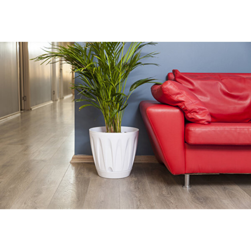 Kıtay Group Papatya Saksı Beyaz Renk 3 Lt 18 x 16.5 Saksı ve Aksesuarları Fiyatı
