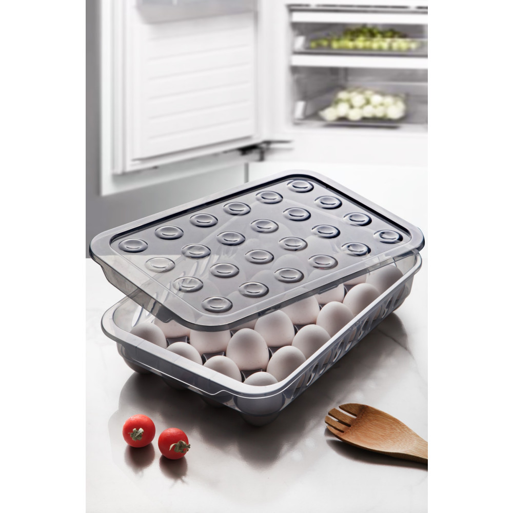 Kitchen Life 24lü Kilitli Kapaklı Buzdolabı Içi Yumurtalık - Yumurta Saklama Kabı Saklama Kapları Fiyatı