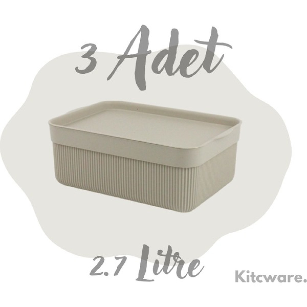 Kitcware Saklama Kutusu, Organizer Kutu, Oyuncak Saklama Kutusu, Renkli Kutu, 2.7 Litre, 3'lü Set - Bej Eşya Saklama Kutusu Fiyatı