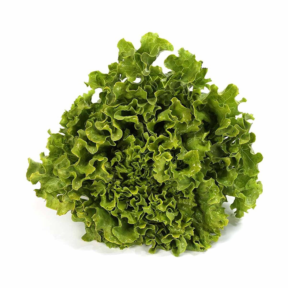 Kıvırcık Salata Adet Sebze Fiyatı