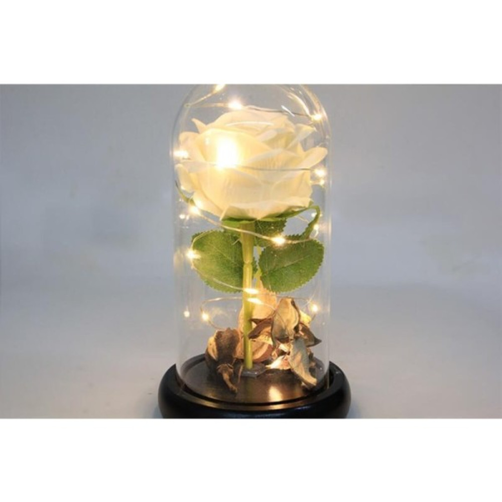 Knittingtr Fanus Çiçek 19/10CM Cam Fanus Hediyelik LED Işıklı Hediyelik Eşya Fiyatı
