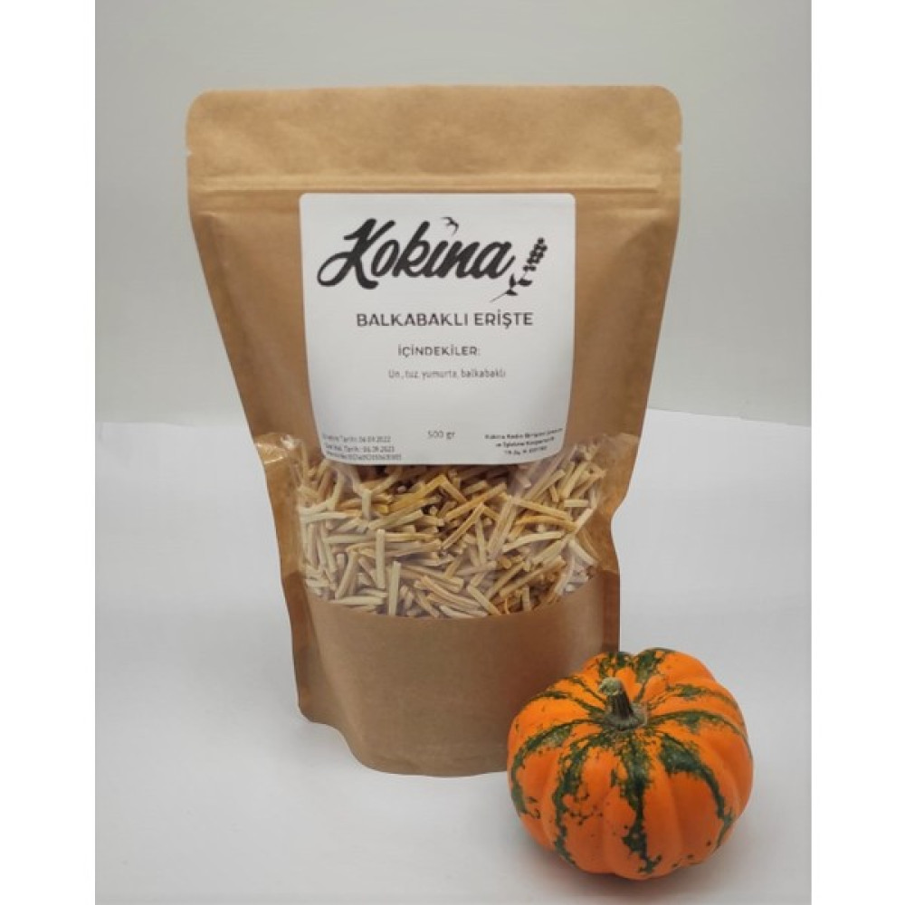 Kokina Balkabaklı Erişte 1 kg Oto Boyaları Fiyatı