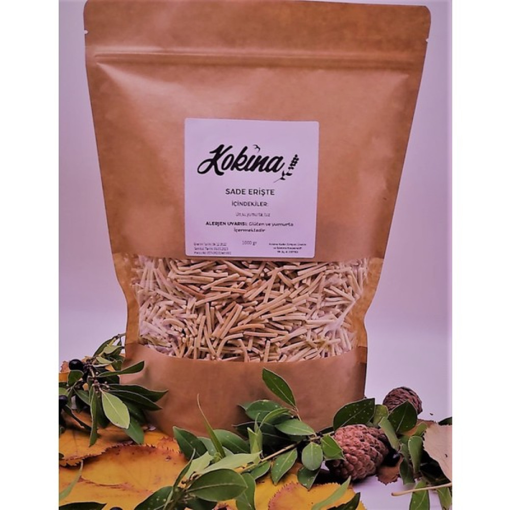 Kokina Moda Kokina Sade Erişte 1 kg Oto Boyaları Fiyatı