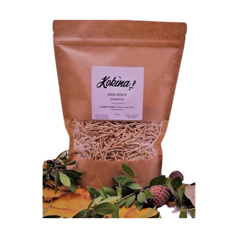 Kokina Sade Erişte 1 kg Oto Boyaları Fiyatı