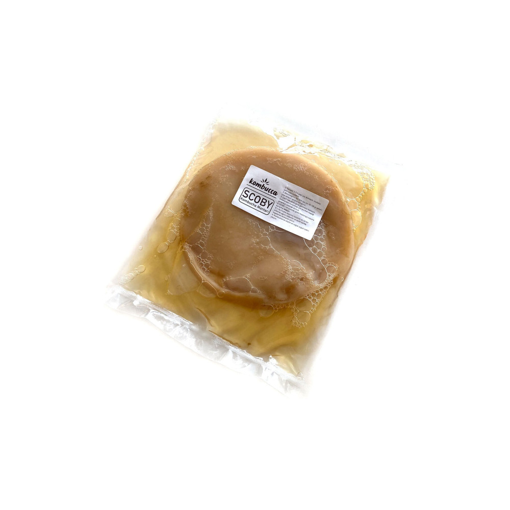 Kombuçça Organik Kombucha Mantarı Kombuça SCOBY - Kombu Çayı - Kambuça Kültürü Mayası Organik Ürünler Fiyatı