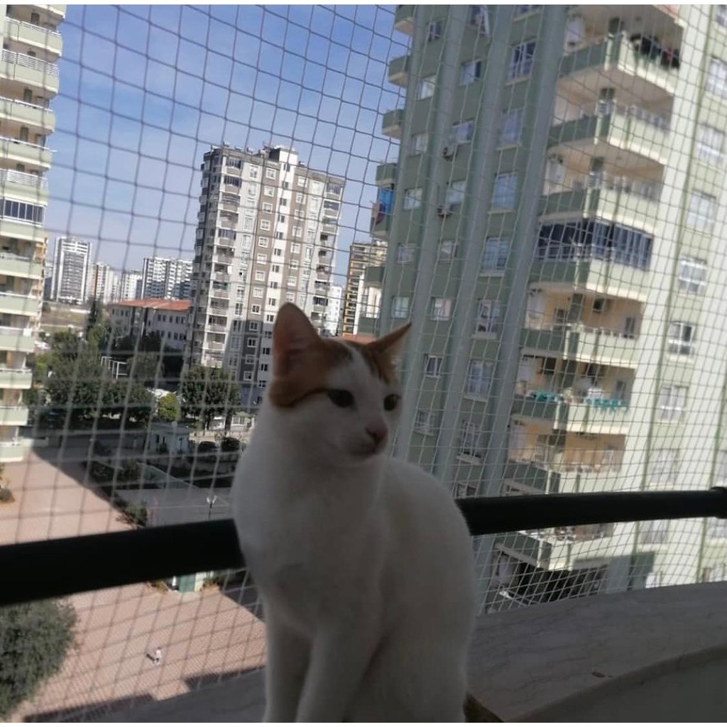 Konak File Kedi Filesi, hayvan koruma filesi (2metre*12metre) Bahçe Çiti Fiyatı