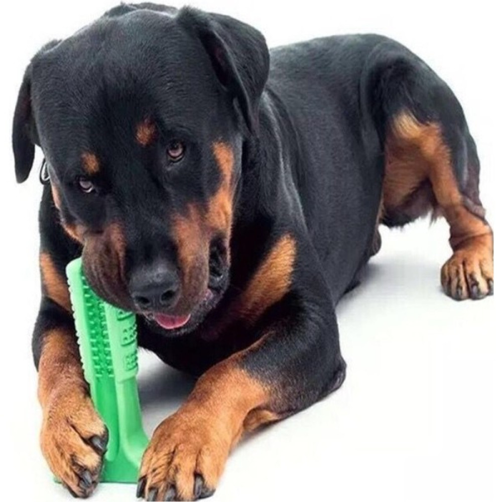Köpek Diş Fırçası Isırma Aparatı Küçük Boy, Köpek Dişlik Yeşil Evcil Hayvan Ürünleri Fiyatı