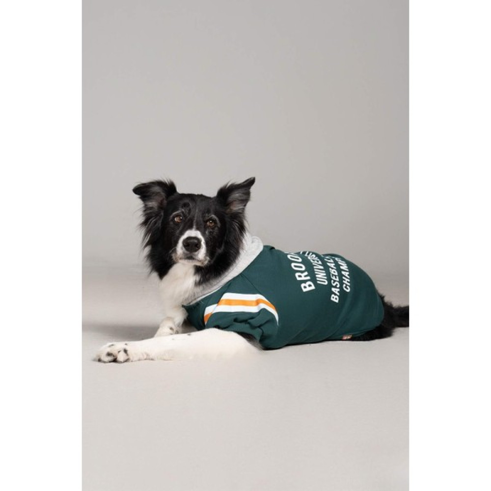 Köpek Kıyafeti, Büyük Irk Köpek Hoodie, Brooklyn 15-30kg - Yeşil - 5XL Evcil Hayvan Ürünleri Fiyatı
