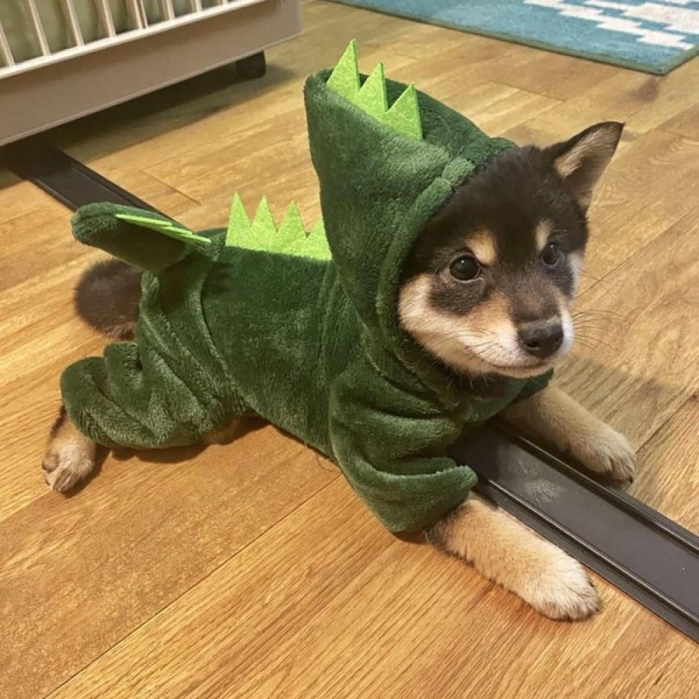 Köpek Kıyafetleri, Dinozor Dönüşüm Kıyafetleri, Sıcak Tutan Dört Ayaklı Kıyafetler, Küçük Köpek Yavrusu Evcil Kedi Kıyafetleri (Yurt Dışından) Evcil Hayvan Ürünleri Fiyatı