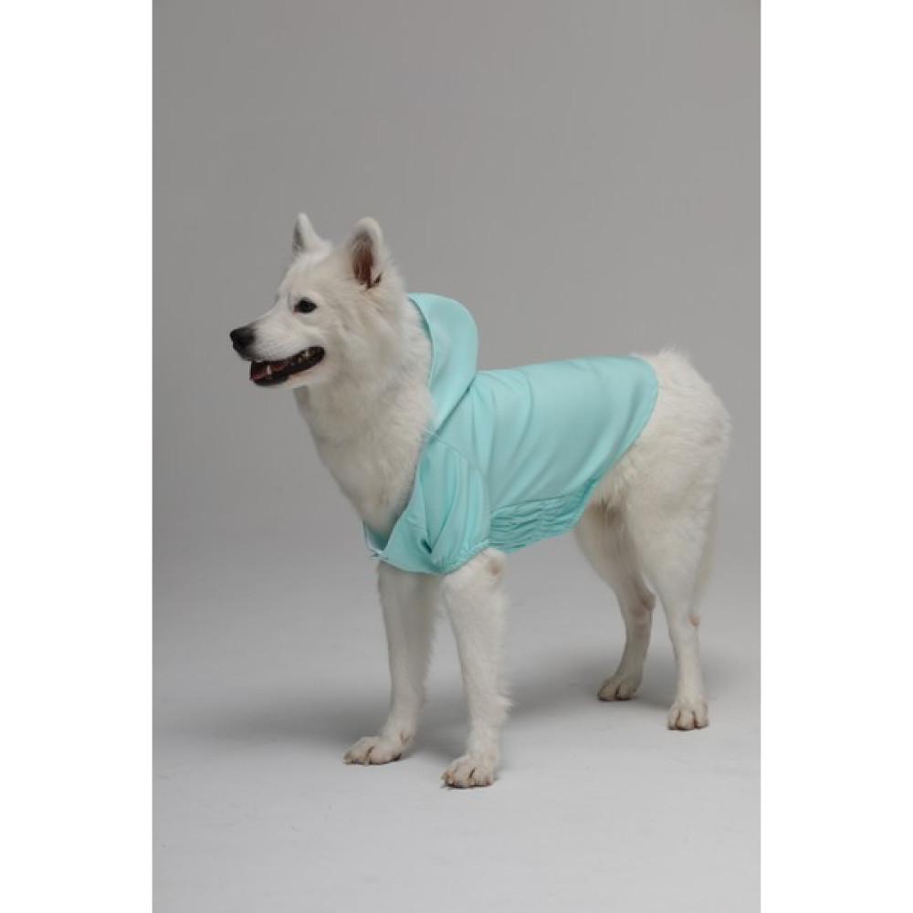 Köpek Su Geçirmez Yağmurluk Rüzgarlık - Açık Yeşil - 2XL Evcil Hayvan Ürünleri Fiyatı
