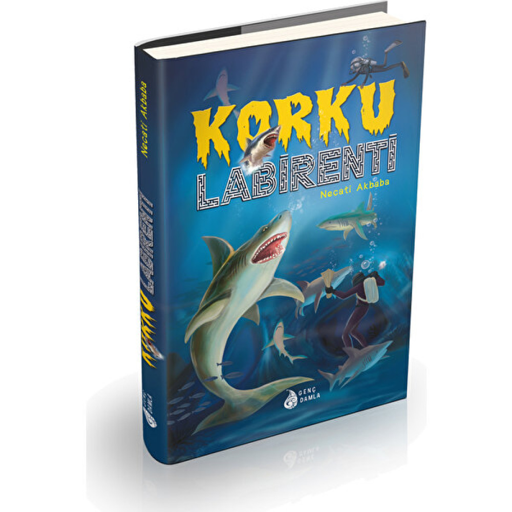 Korku Labirenti Çocuk Öykü Fiyatı