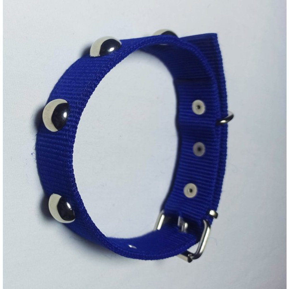 Kozaklı Incitop Köpek Tasması 60 x 3 cm - Mavi Evcil Hayvan Ürünleri Fiyatı