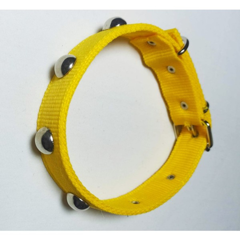 Kozaklı Incitop Köpek Tasması 60 x 3 cm - Sarı Evcil Hayvan Ürünleri Fiyatı