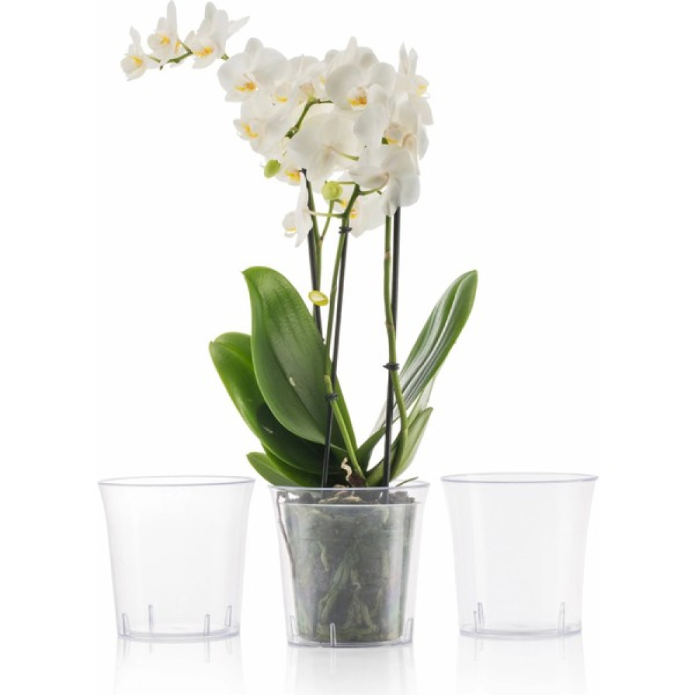 Krm Home Papatya Orkide Saksısı Tabaklı Şeffaf Plastik Saksı 18 cm-Vanda18 - 1 Adet - 2.2 Lt Saksı ve Aksesuarları Fiyatı