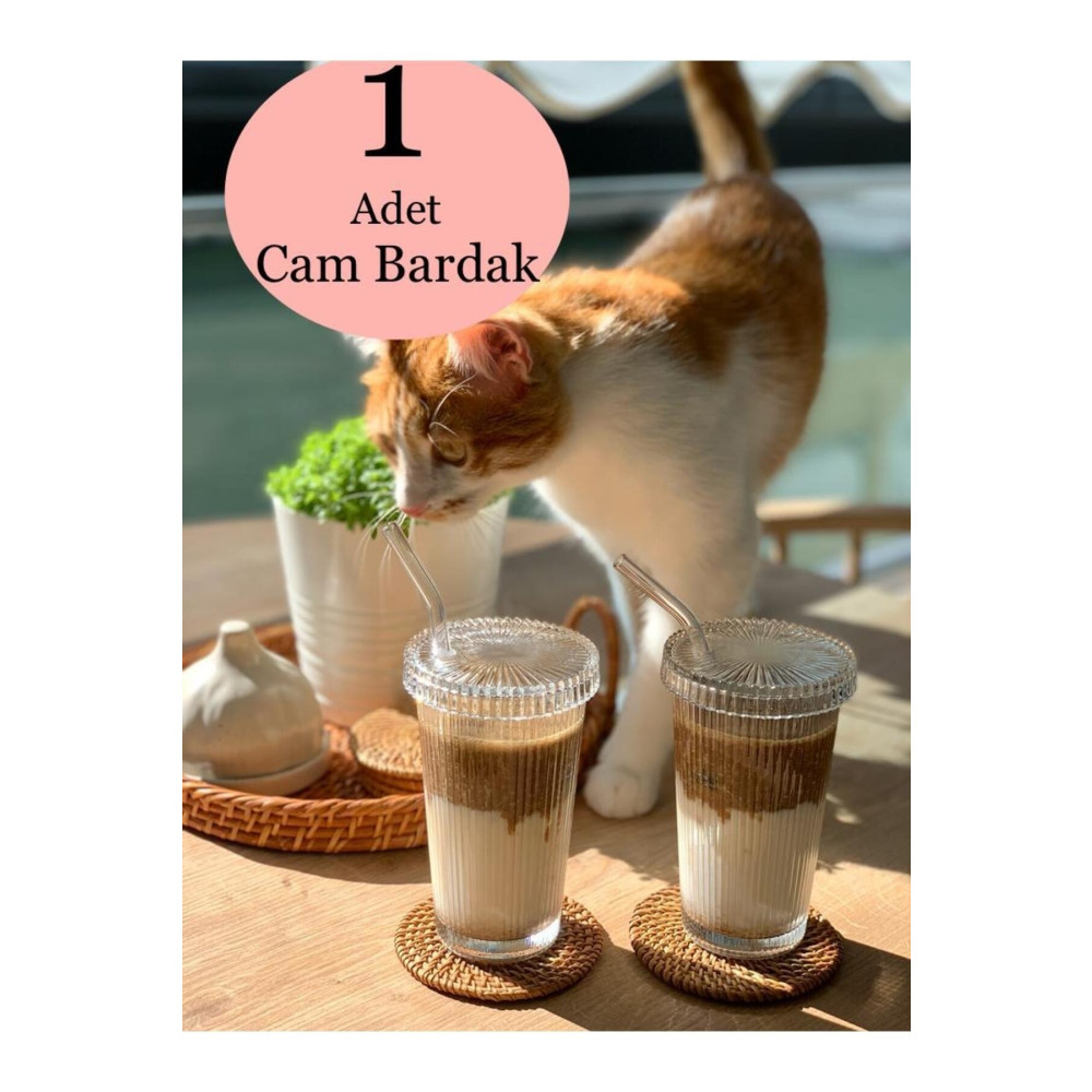 KÜÇÜK EW 1 Adet 400 ml Cam Kapaklı Pipetli Origami Stil Cam Bardak | Kahve Ve Sunum Bardağı| Meşrubat Bardağı Fincan / Bardak / Kahve Takımı Fiyatı