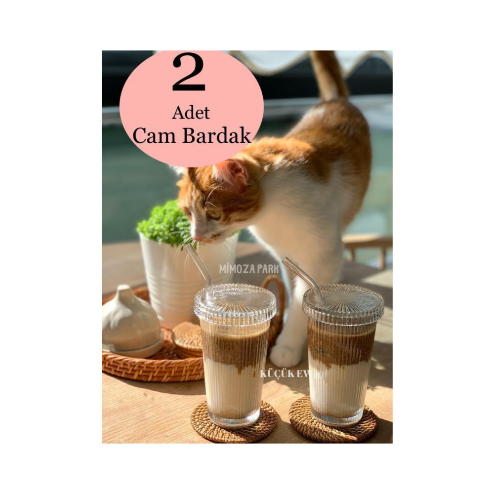 KÜÇÜK EW 2 Adet 400 ml Cam Kapaklı Pipetli Origami Stil Cam Bardak | Kahve Ve Sunum Bardağı| Meşrubat Bardağı Fincan / Bardak / Kahve Takımı Fiyatı