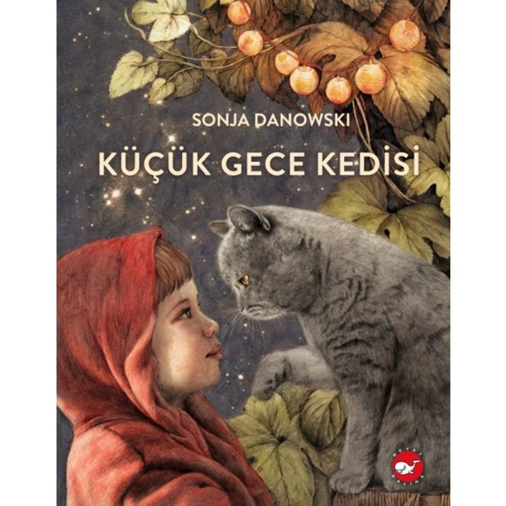 Küçük Gece Kedisi - Organik Kitap Çocuk Masal Fiyatı