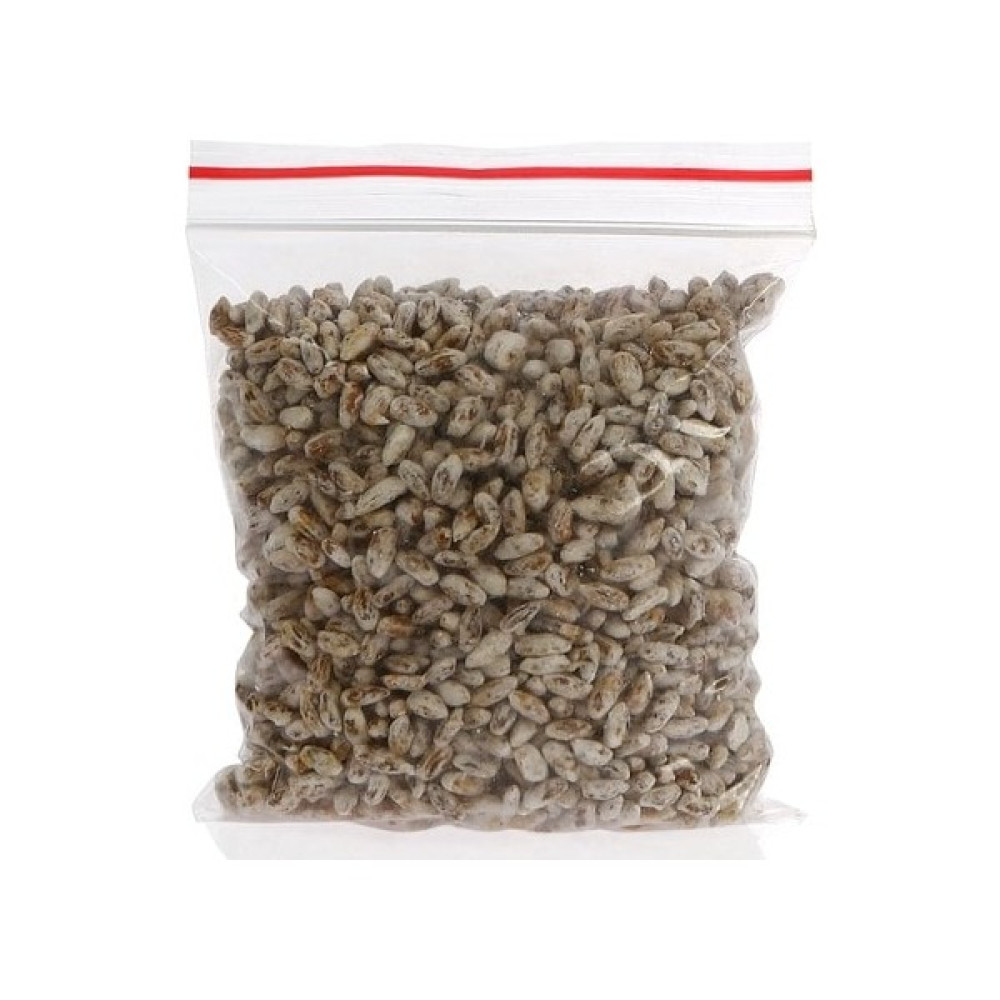 Kültür Mantarı Tohumu 100 gr Tohum Fiyatı