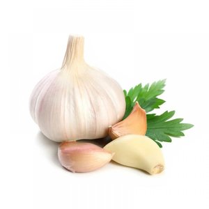 Kuru Sarımsak Kg Sebze Fiyatı