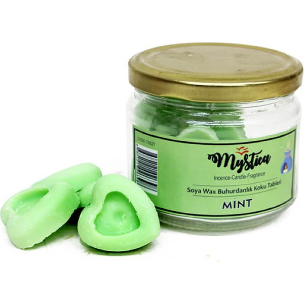Kuru Soğuk Buhurdanlık Kokusu Soya Wax Mint Oto Boyaları Fiyatı