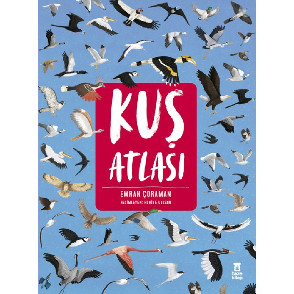 Kuş Atlası - Emrah Çoraman Çocuk Öykü Fiyatı