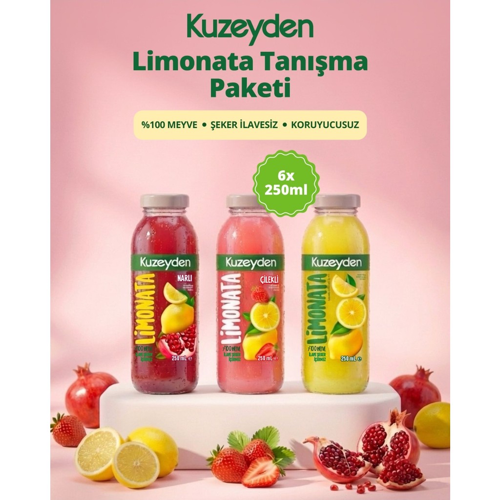 Kuzeyden Limonata Tanışma Paketi | 6X250ML | Ilave Şeker, Katkı ve Koruyucu Madde Içermez | %100 Meyve Diğer Fiyatı