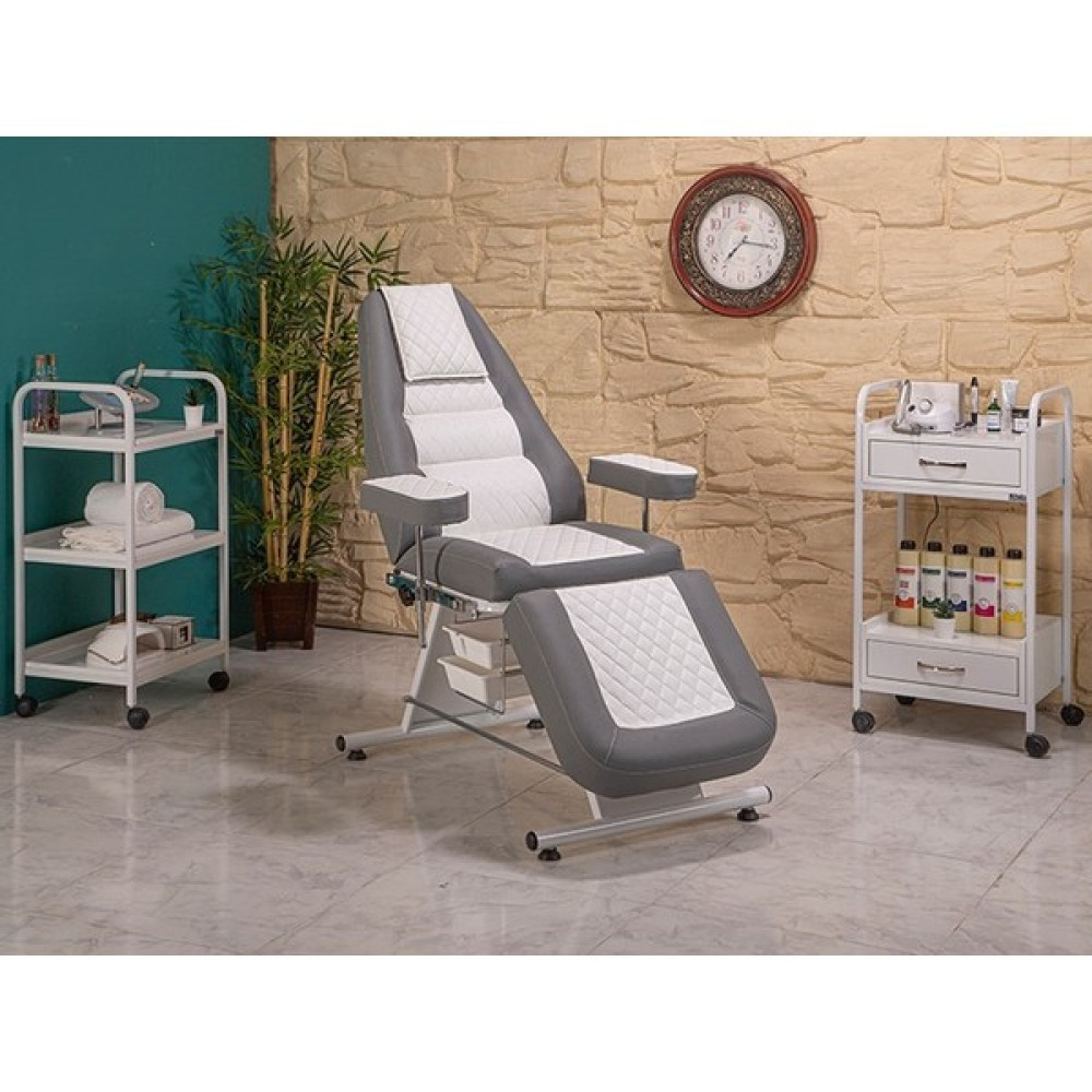 Labortech Montana Ayarlanabilir Cilt Bakım ve Muayene Koltuğu-Gri | LABORTECH-2304 - Gri Oto Boyaları Fiyatı