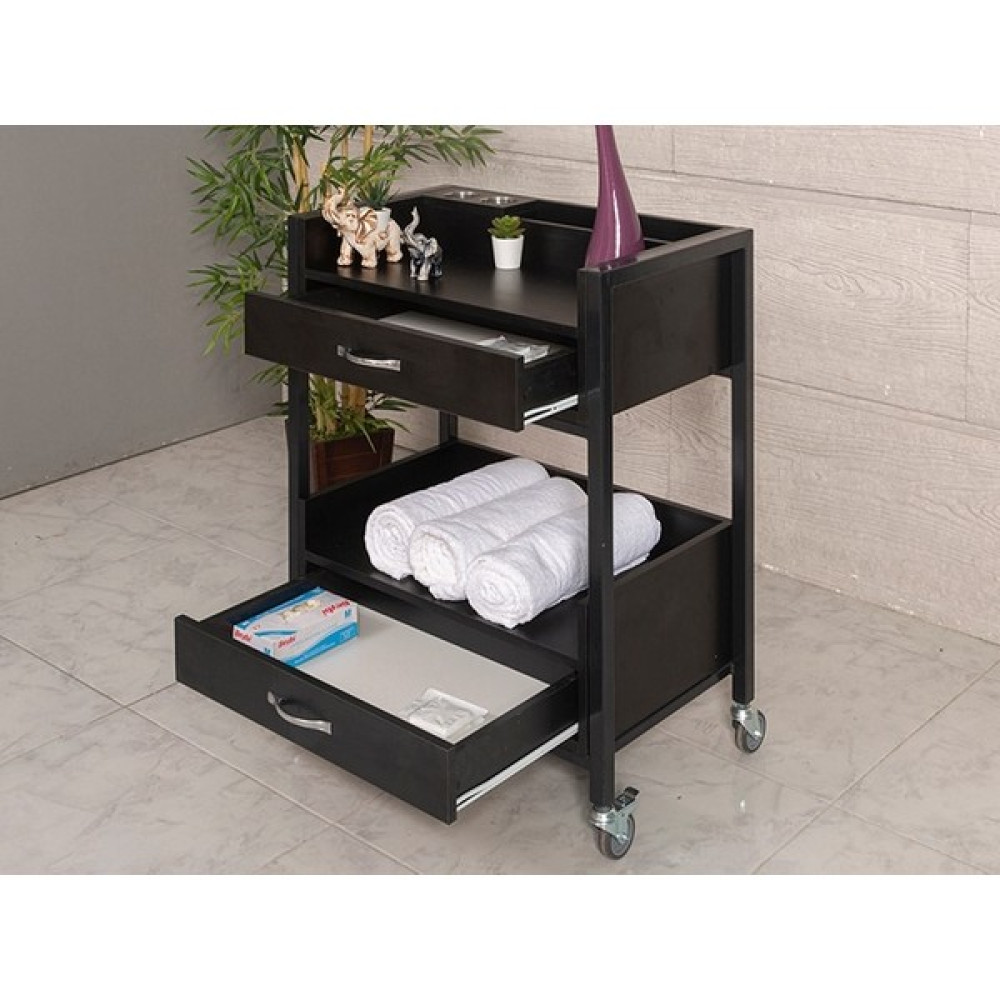 Labortech Teos 2 Çekmeceli Setup ve Cihaz Taşıma Sehpası-Siyah | LABORTECH-4072 - Siyah Oto Boyaları Fiyatı