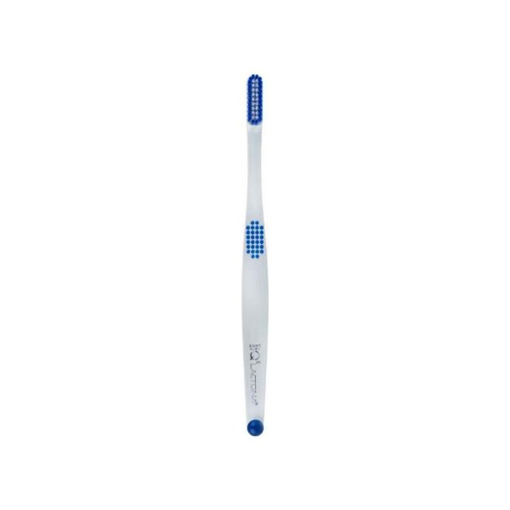 Lactona Iq Easycomfort Diş Fıçası Soft Oto Boyaları Fiyatı