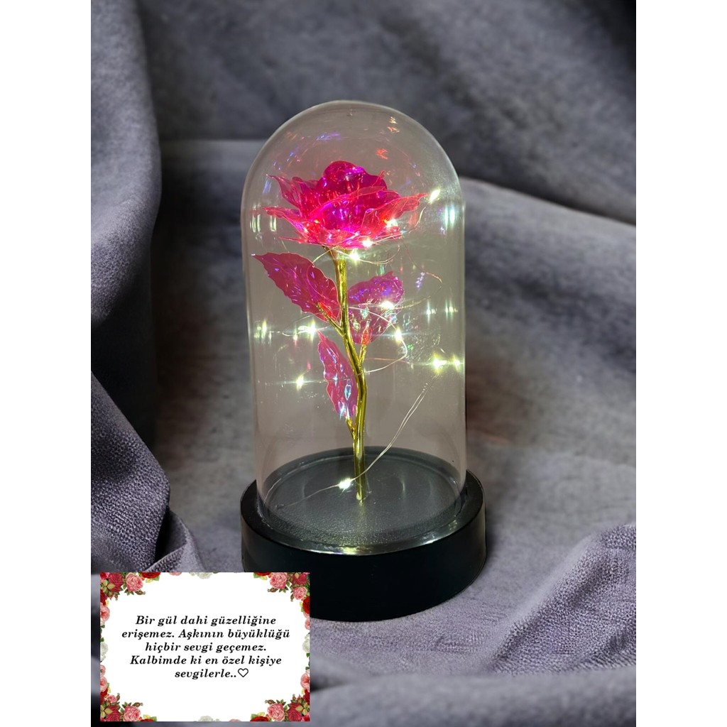Lapidaria Fanus Içerisinde Dekoratif Rgb Peri LED Işıklı Solmayan Pembe Sonsuzluk Gülü Hediye Galaxy Lamba Diğer Fiyatı