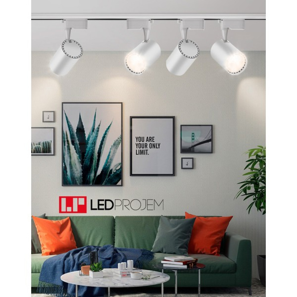 Led Projem 30W LED Ray Spot Beyaz 4 Adet ve 1 Metre Ray Set - Beyaz Işık Spot Fiyatı