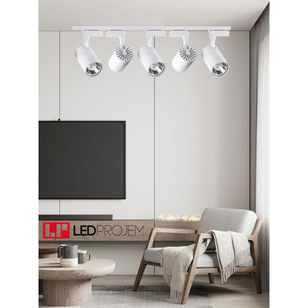 Led Projem 30W LED Ray Spot Beyaz 5'li Set - Beyaz Işık Spot Fiyatı