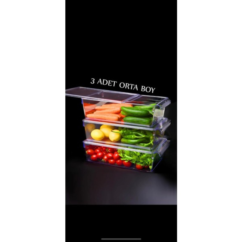 Lees home Leeshome Kapaklı Orta Tall Clear Buzdolabı & Dolap Içi Düzenleyici Organizer 3 Adet Saklama Kapları Fiyatı