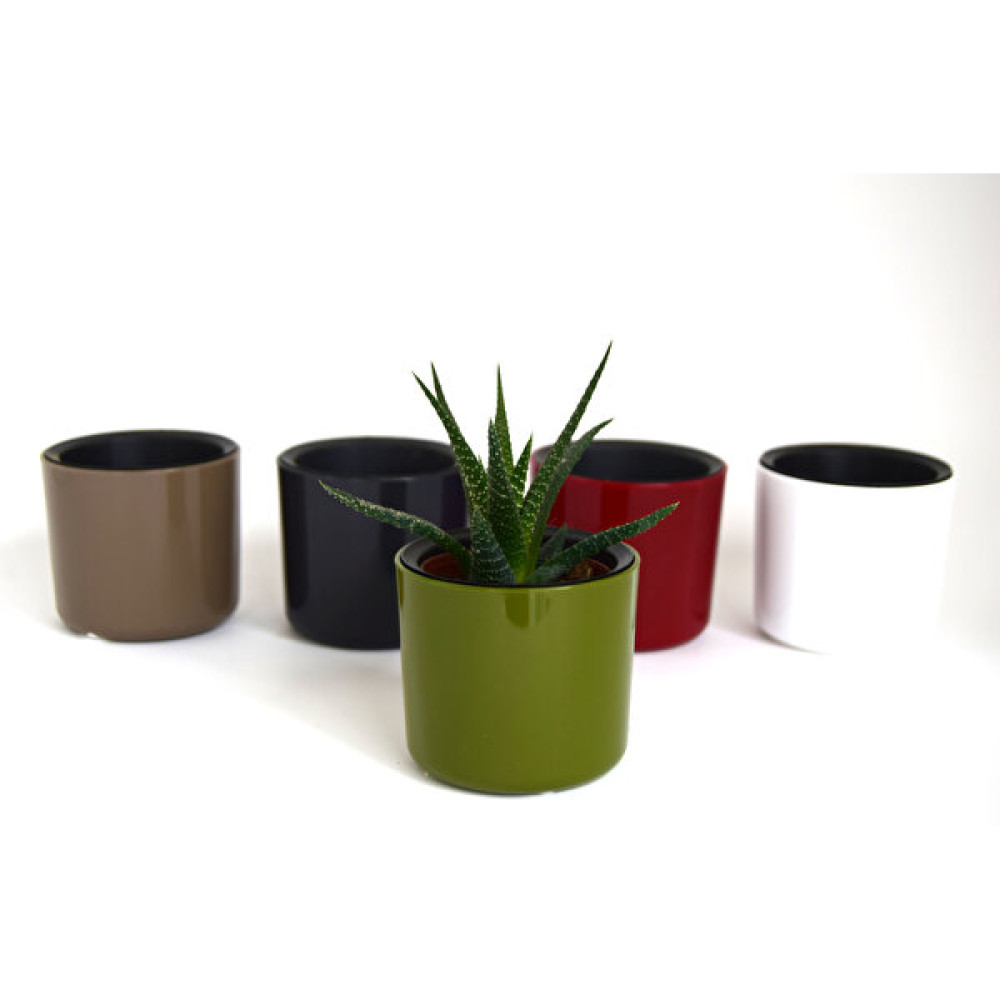 Leo Garden Mimoza-9- Saksı - Yeşil - 9 x 6 cm Saksı ve Aksesuarları Fiyatı