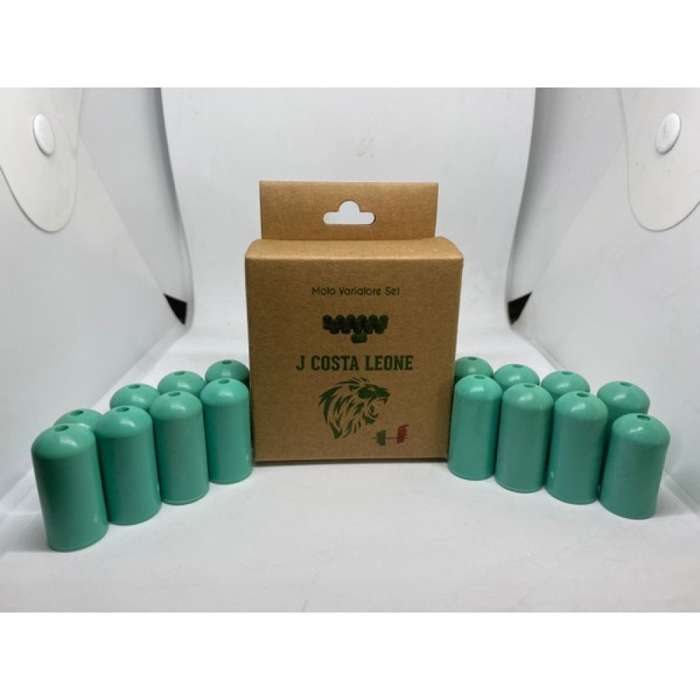 Leone J.costa x Max 300CC Performans Bagası 16GR (14 Adet) Oto Boyaları Fiyatı