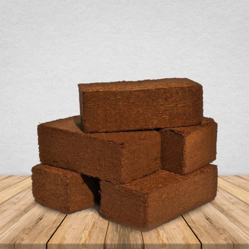 Levant Sıkıştırılmış Cocopeat 30LT Yüksek Kalite Bitki Fiyatı