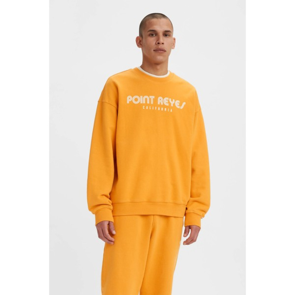 Levi's % 100 Pamuk Relaxed Fit Bisiklet Yaka Sweat Erkek Sweat A3770 Erkek Sweatshirt Fiyatı