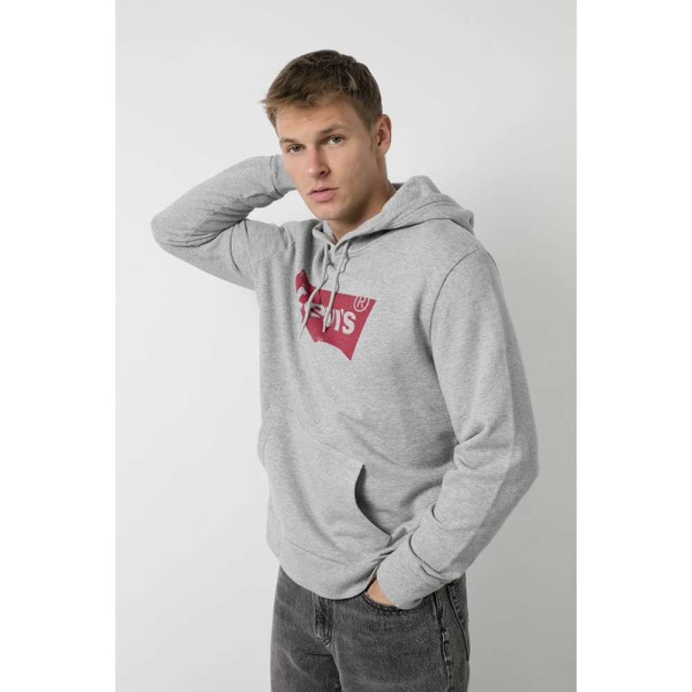 Levi's Kapüşonlu Sweat Erkek Sweat 19622 Erkek Sweatshirt Fiyatı