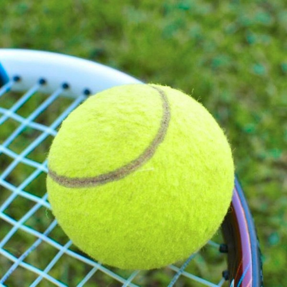 Leyaton 1 Adet Sarı Tenis Topu Antrenman Tenis Topu Toplar Fiyatı