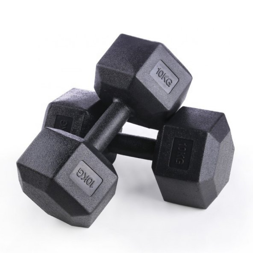 Leyaton 10 Kg X 2 Adet 20 Kg Dambil Seti, Dumbell Set Dumbell 2X10 Kg Dambıllar & El / Ayak Ağırlıkları Fiyatı