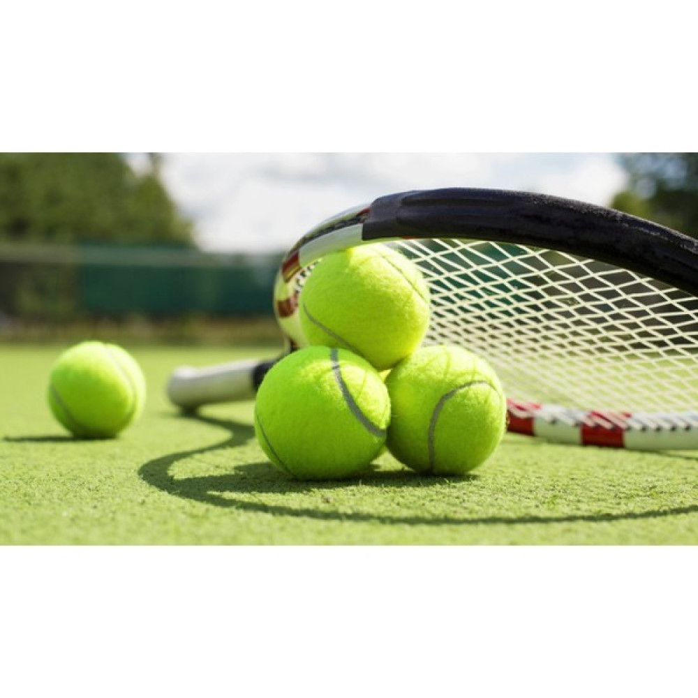 Leyaton 3 Adet Sarı Tenis Topu Antrenman Tenis Topu Toplar Fiyatı