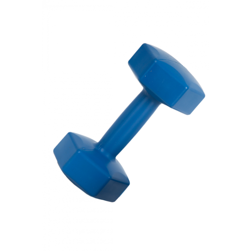 Leyaton Leyaton 1 Kg Dambil Agirlik 1 Kg ( 1 Adet) Dambıllar & El / Ayak Ağırlıkları Fiyatı