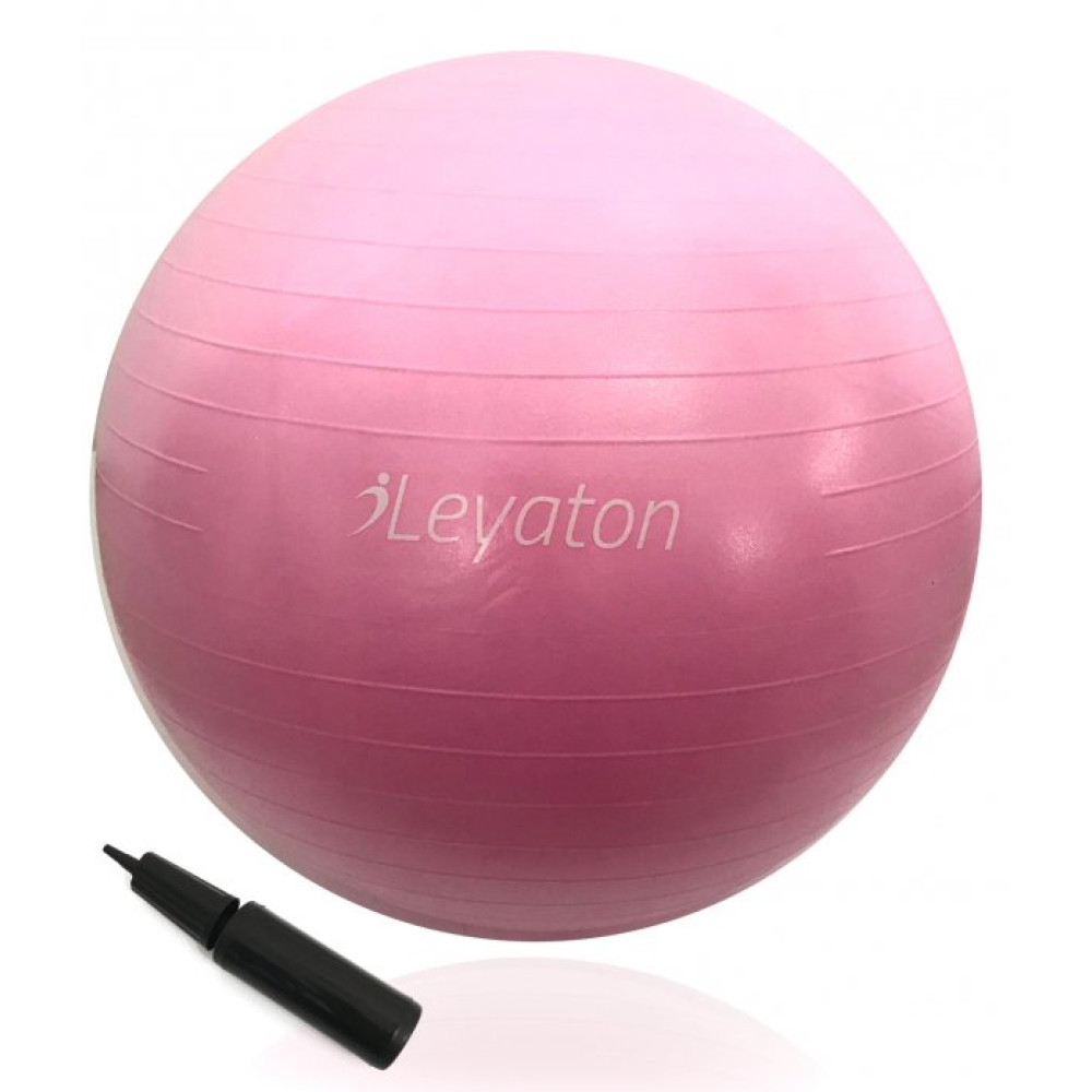 Leyaton Leyaton Buyuk Boy Pilates Topu 65 Cm Pompa Hediyeli Lyt-117 Pilates Aletleri Fiyatı