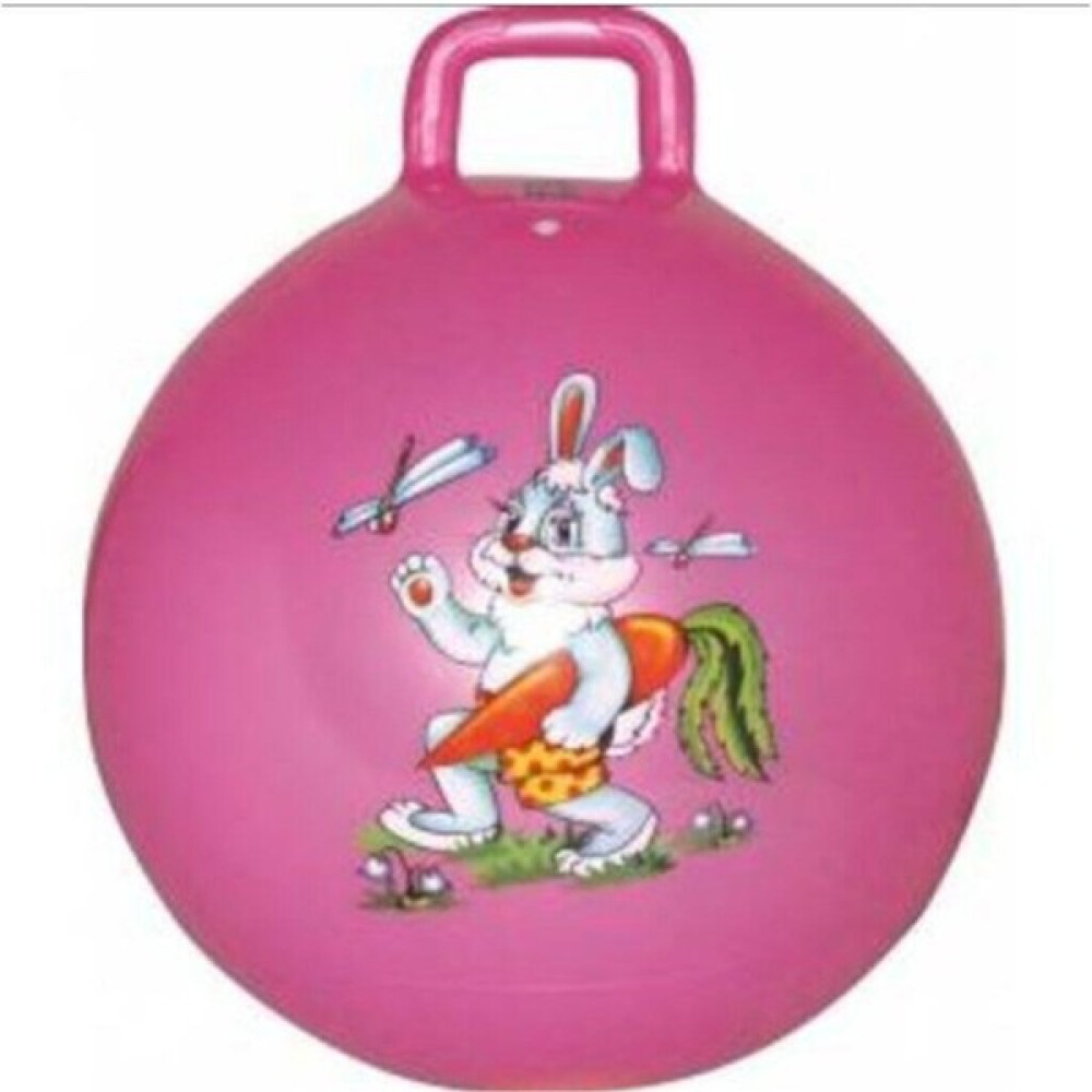 Lider Ticaret Pembe Plates Zıp Zıp Topu 45 cm Çocuk Boyu Pilates Fiyatı