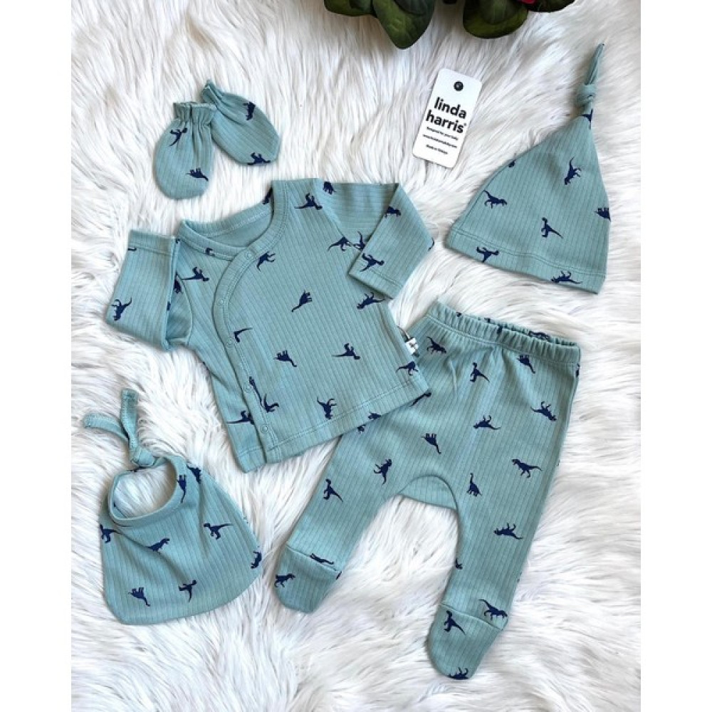 Linda Harris Dinosaur Pattern Mint 5'li Yenidoğan Bebek Hastane Çıkışı Seti Bebek Hastane Çıkışı Fiyatı