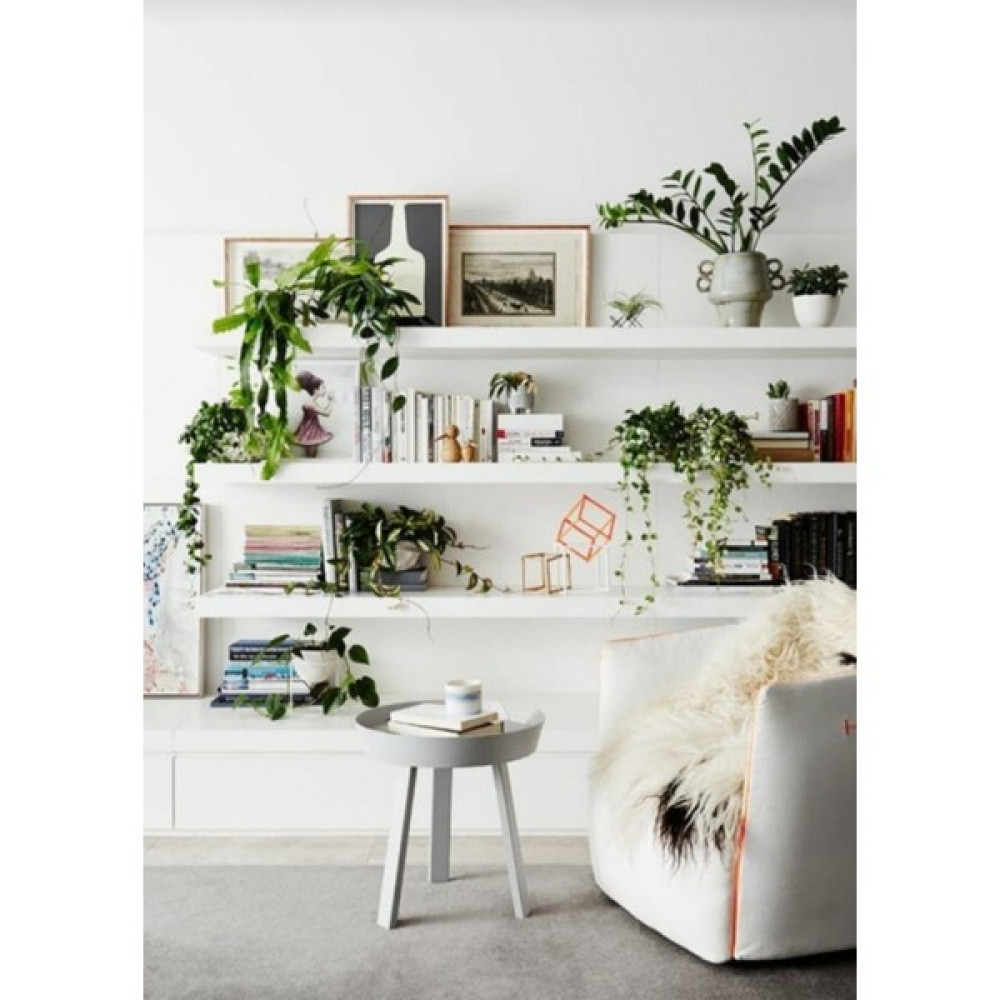 LİNDE HOME 3lü Duvar Rafı Kütüphane Kitaplık Tv Rafı 100X20CM Kitaplık - Duvar Rafı & CD / DVD Rafı Fiyatı