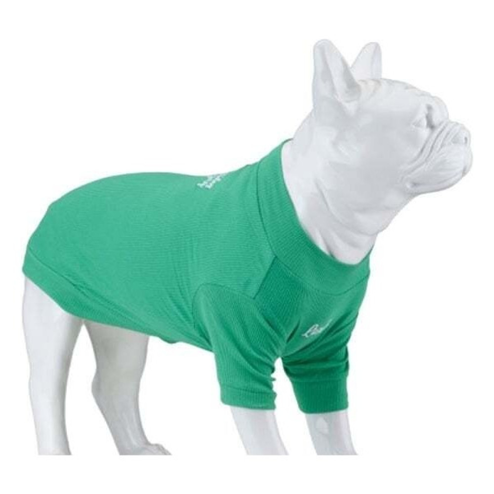 Lindo Dogs Make Today Amazing Köpek Kıyafeti Tshirt Yeşil Beden 2 Evcil Hayvan Ürünleri Fiyatı