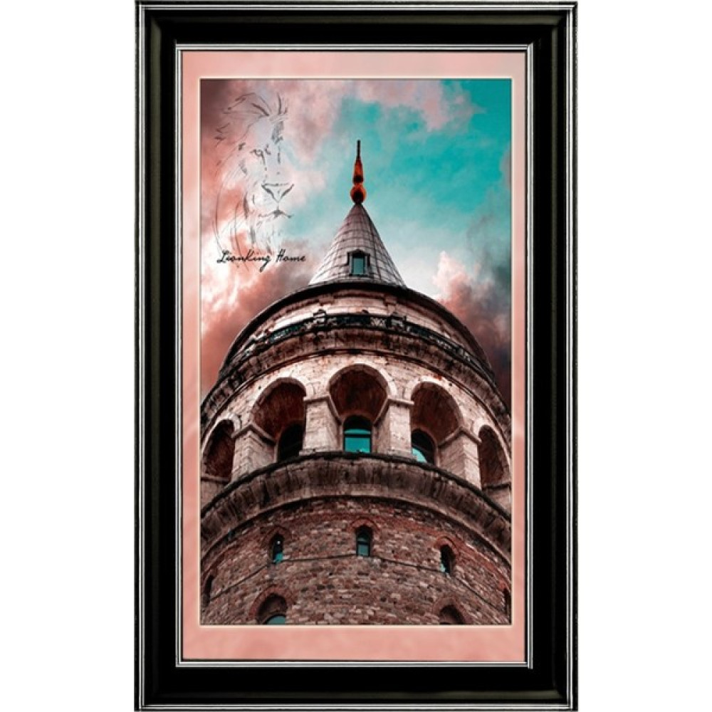 Lionking Home 1 Ad Siyah Gümüş Çerçeve,sertifika,diploma,a4,belge Resim & Fotoğraf Çerçevesi Fiyatı